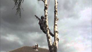 Tree Pruning Mexborough